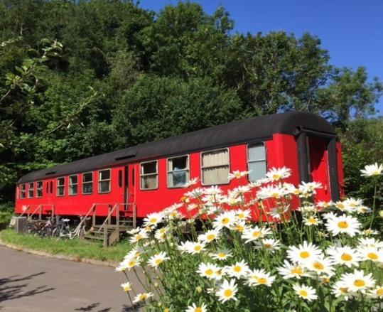 Gjerrild Gaestehus Djursland Grenå Exterior foto